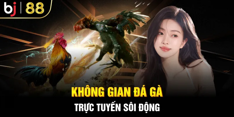 Không gian đá gà trực tuyến sôi động